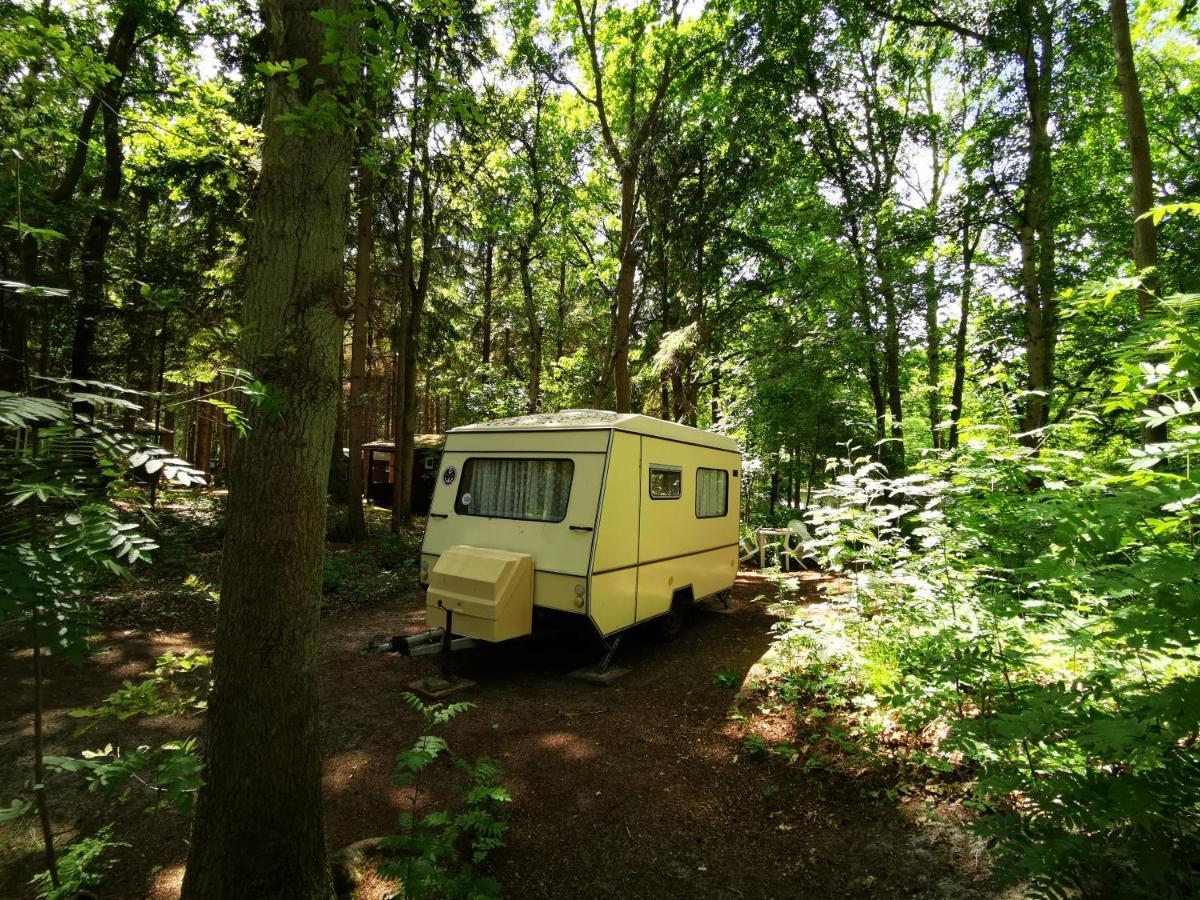 Ddr Kult Wohnwagen Direkt Am Strand Kreptitz Exterior foto